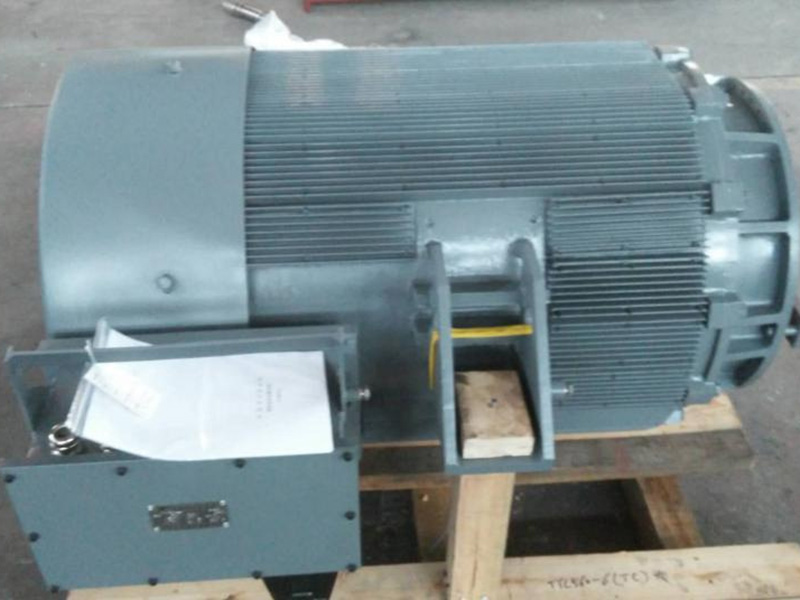 Permanent Magnet Motor for Locomotive